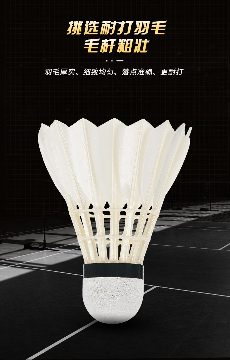 New 12PCS Professional Badmint – Badminton Youtube recenzja i cena