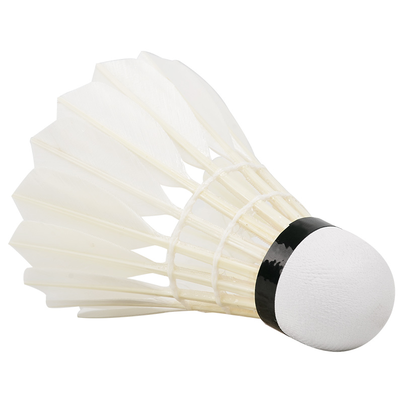New 12PCS Professional Badmint – Badminton Youtube recenzja i cena